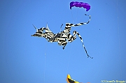 32 FESTIVAL CERVIA 2012 - 095